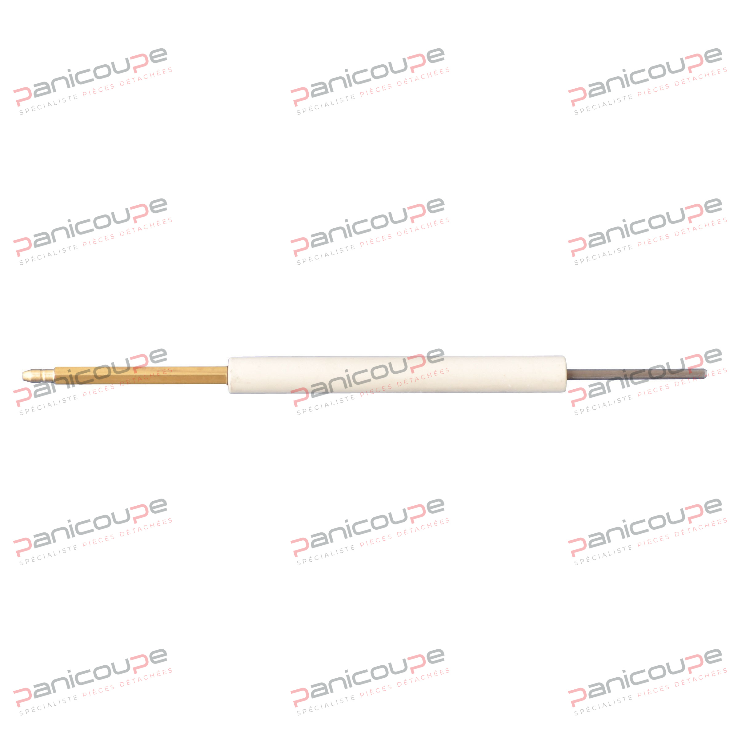 SONDE D&rsquo;IONISATION photo du produit