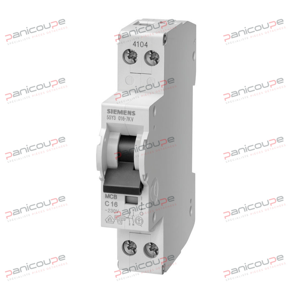 DISJONCTEURS PHASE-NEUTRE 230 V photo du produit