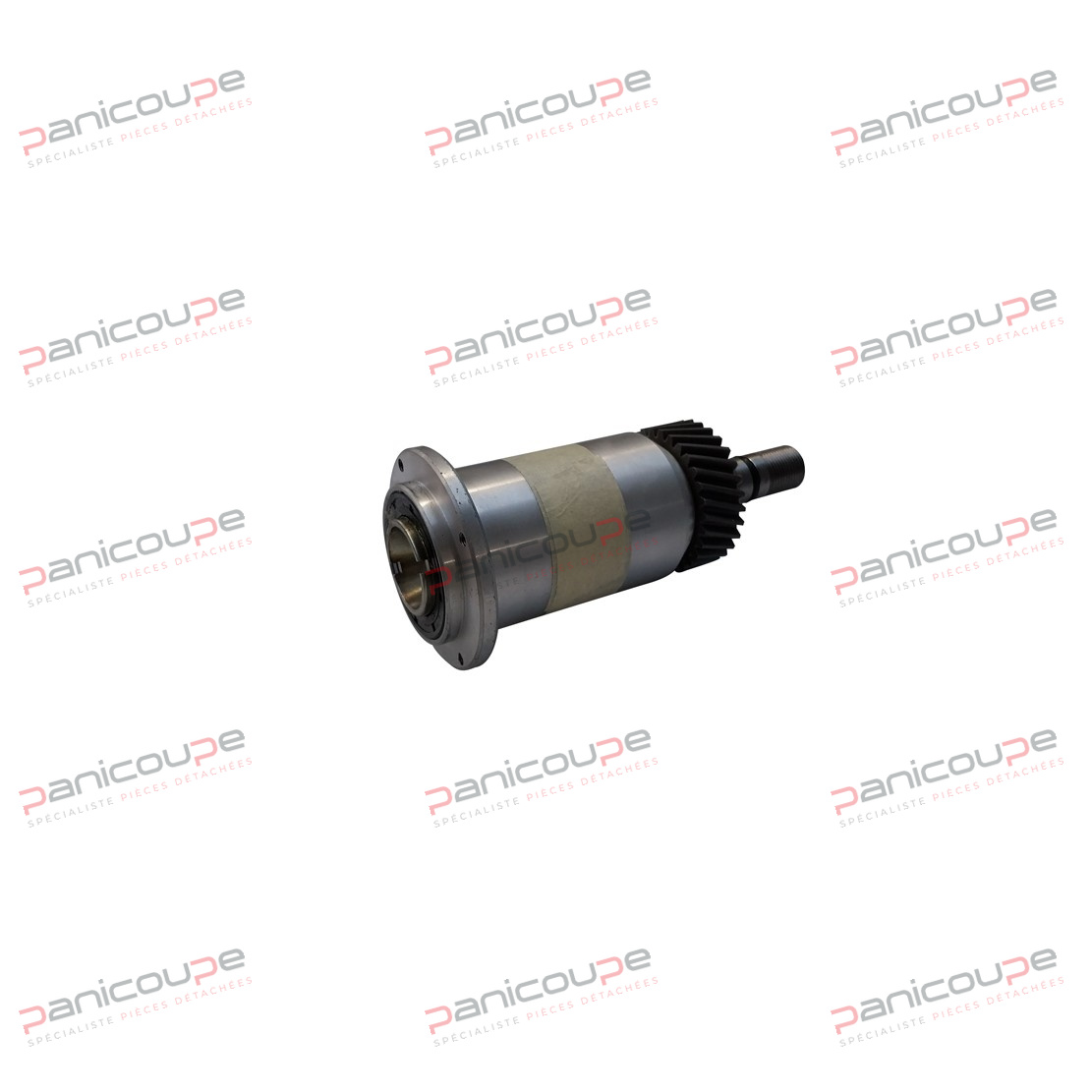 POULIE PIGNON NYLON BOSTON MAX photo du produit