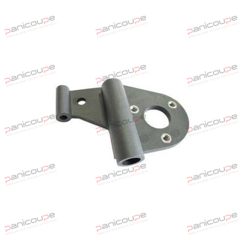 GROUPE CHARNIERE AFFUTEUR BRA4 photo du produit