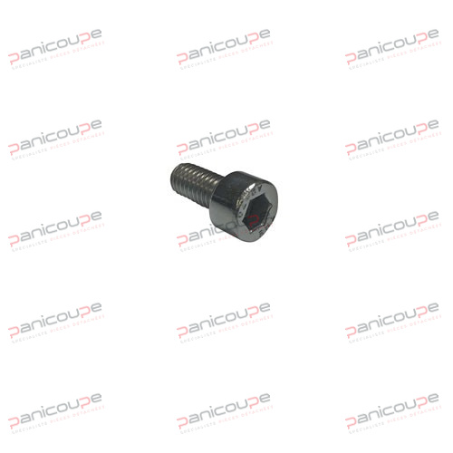 VIS BTR M6X12 INOX FIXATION PP photo du produit