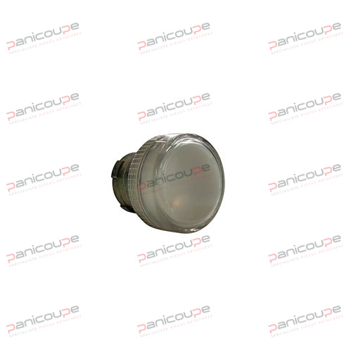 VOYANT LUMINEUX BLANC BV80E photo du produit