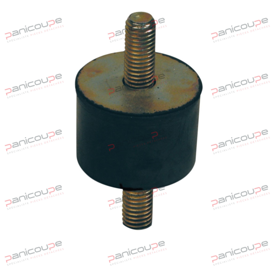 PIED ANTI-VIBRATOIRE &Agrave; VISSER &Agrave; 2 TIGES photo du produit