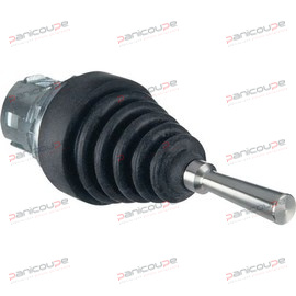 BOUTON LEVIER 2 POSITIONS photo du produit