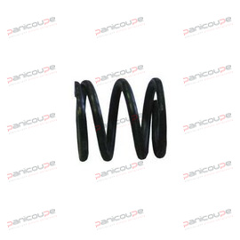 RESSORT V.S.F. BOSTON MAX photo du produit