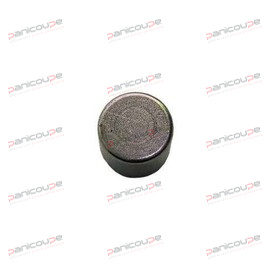 AIMANT 8X7.5 RACLEUR BRAHER MA photo du produit