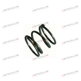RESSORT POUR VERROUILLAGE OMS9 photo du produit