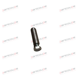 BUTEE DE GRILLE photo du produit