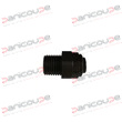 UNION SIMPLE M 1/4 BSP CON X 10 MM photo du produit