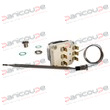 THERMOSTAT DE REGULATION TRIPHASE 30-110&deg; photo du produit